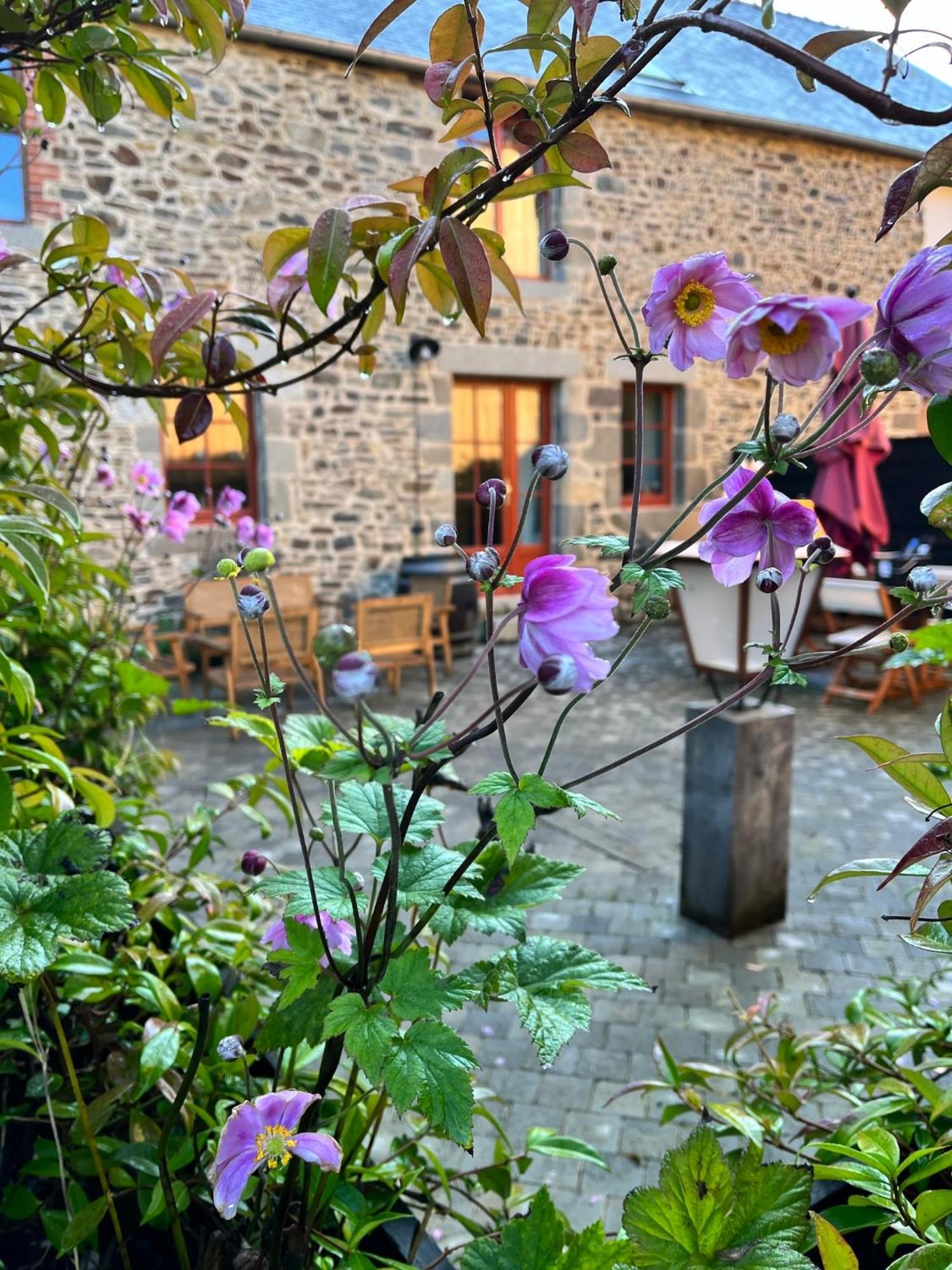 Hotel Domaine Du Tertre Ychot à Dol-de-Bretagne Extérieur photo